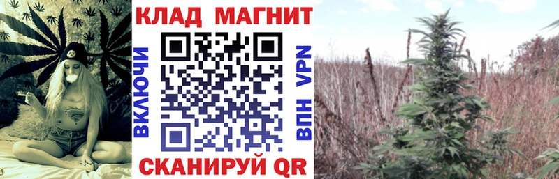 Купить Псилоцибиновые грибы  Меф  Гашиш  Экстази  APVP  КОКАИН  Петухово