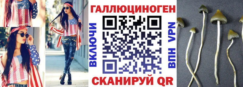 Галлюциногенные грибы GOLDEN TEACHER  Купить  Петухово 
